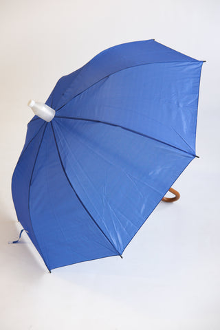 Adults blue umbrella with cover